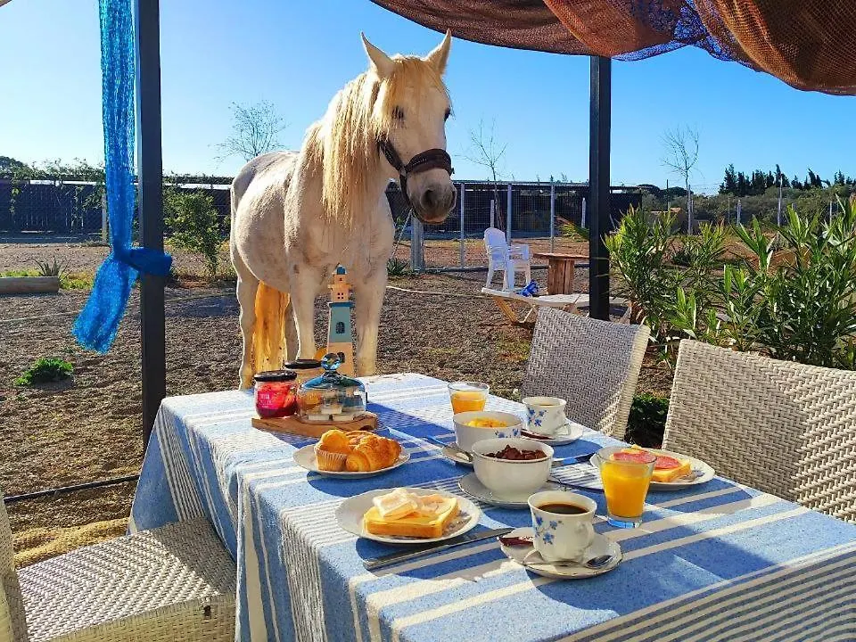 Finca Caballito De Mar Cambrils Agroturismo